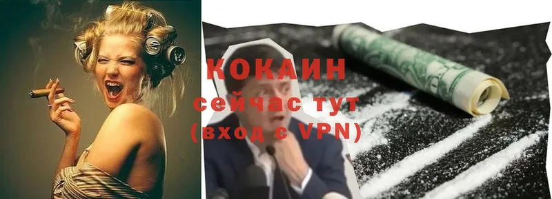 Cocaine Эквадор  как найти наркотики  Новотроицк 