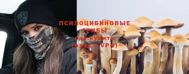 Галлюциногенные грибы MAGIC MUSHROOMS Новотроицк